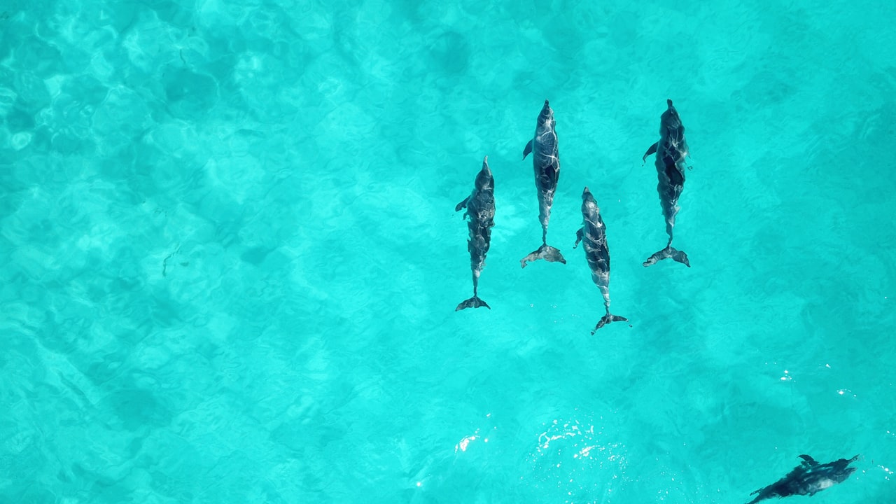 Experience Added Safety With MTL POD In LUXE X E-Cigarette