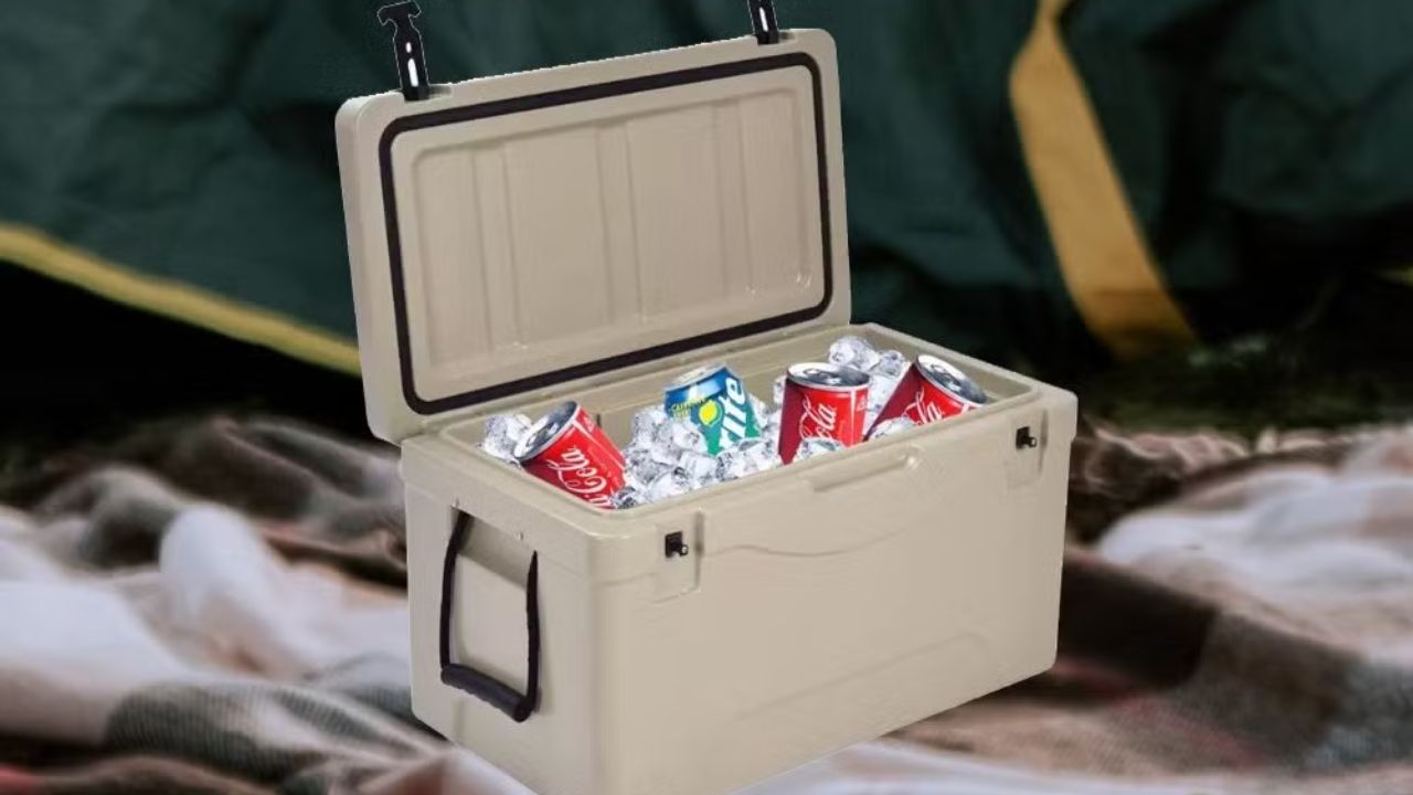 Why Global Buyers Trust Everich as Their Hard Cooler Manufacturer